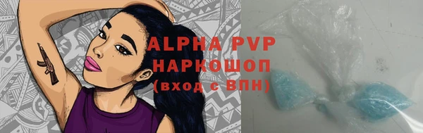 прущие грибы Верея