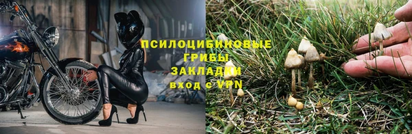 не бодяженный Михайлов