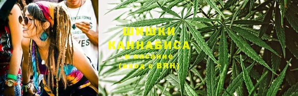 не бодяженный Михайлов