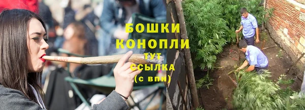 шишки Михайловск