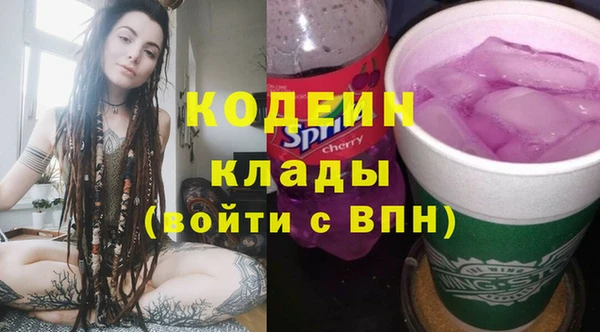 прущие грибы Верея