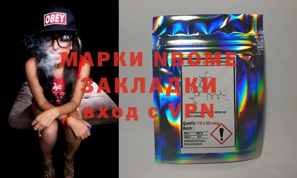 шишки Михайловск