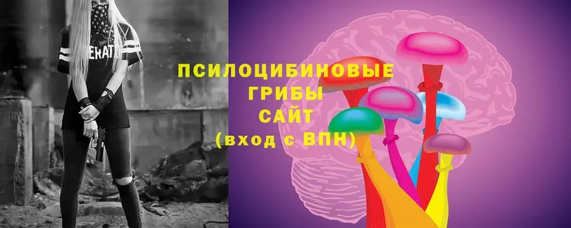 сайты даркнета как зайти  Буй  Псилоцибиновые грибы мухоморы  где можно купить  